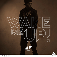220px-Avicii_Wake_Me_Up_Official_Single_Cover