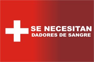 solidaridad