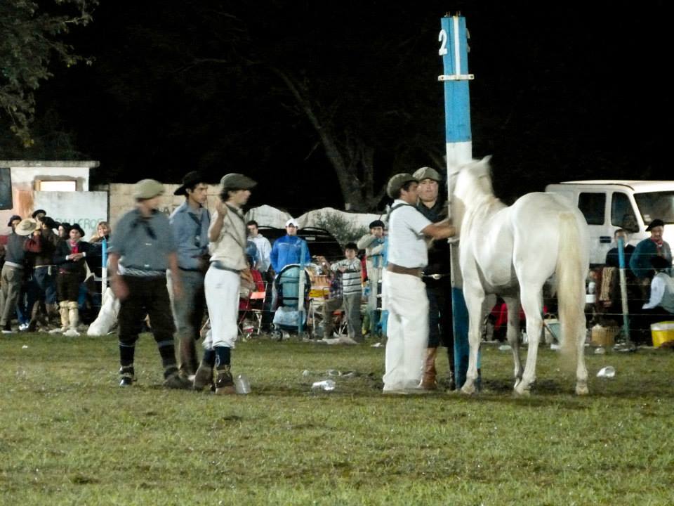 10686606_705993902843171_4198627575810816138_n