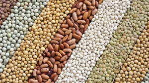 Mixture of dried lentils, peas, soybeans, beans  - background
