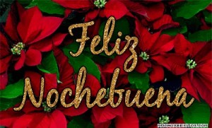 Noche-buena