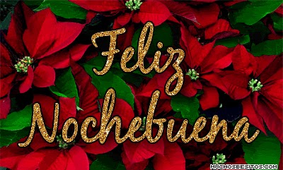 Noche-buena