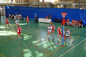 cestoball2