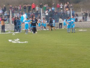 IMG_20160814_182820534