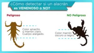 alacranes