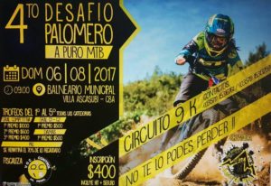 Desafío Palomero