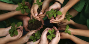 agricultura-forestacion-quito