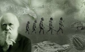 darwin