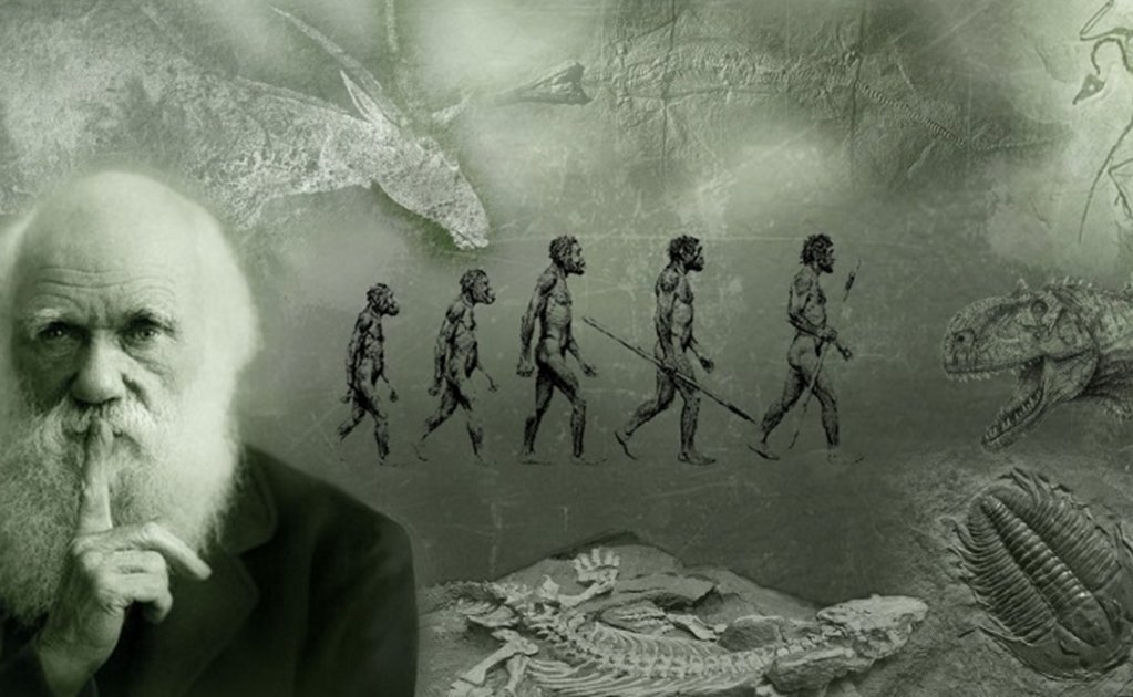darwin