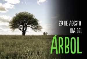 dia-del-arbol