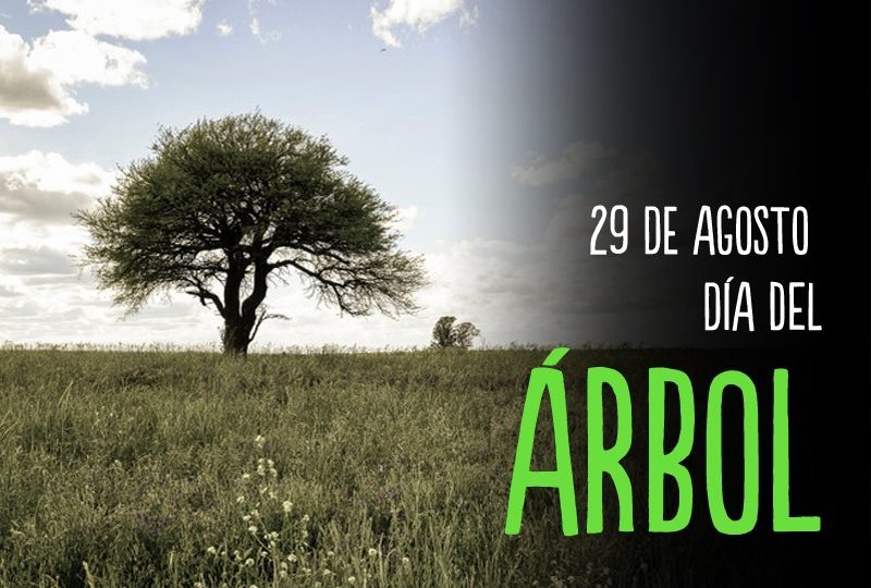 dia-del-arbol