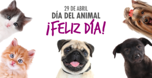 diadelanimal