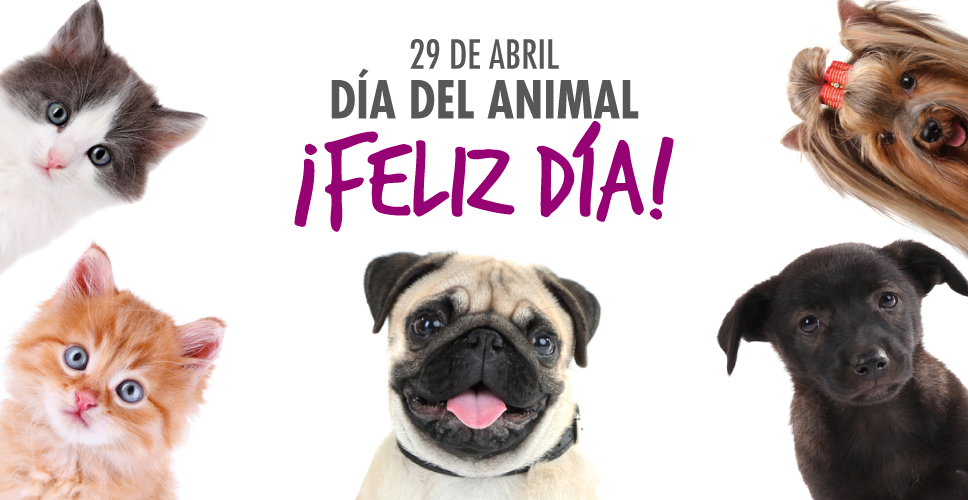 diadelanimal