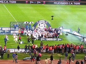 Tigre campeón