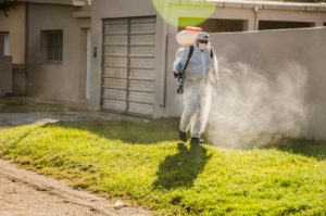 Dengue Almafuerte