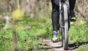 Rural-Bike-Lobos