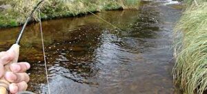 Pesca