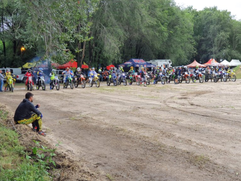 MX (1)
