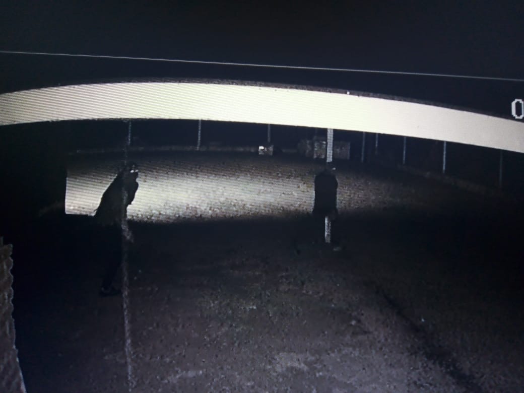 Robo 2