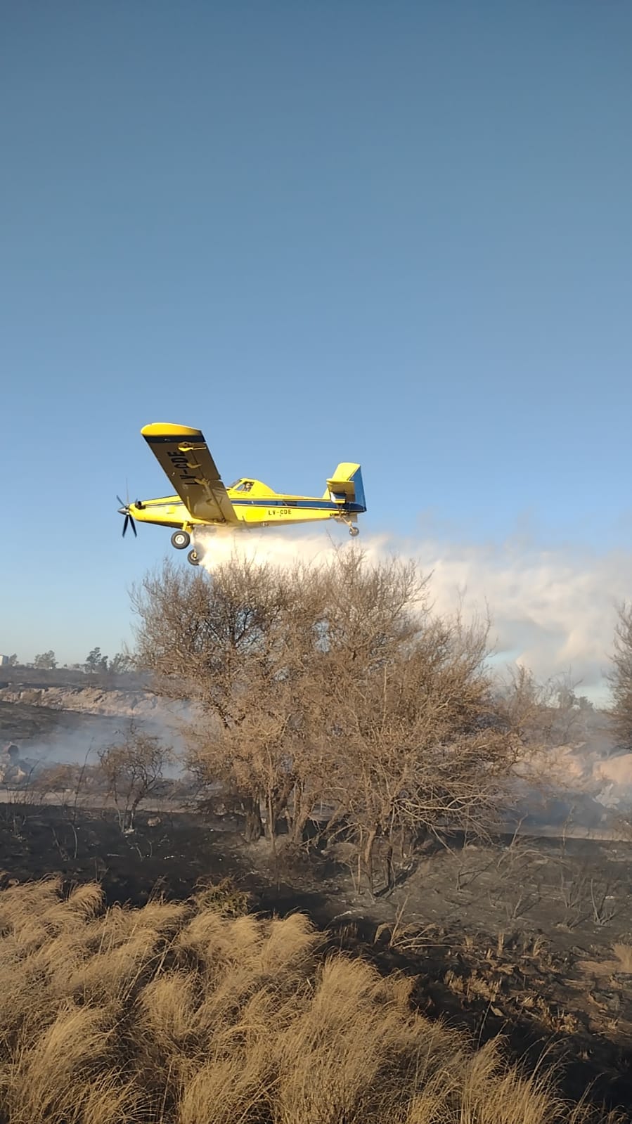 bomberos 1