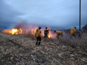 Bomberos 1