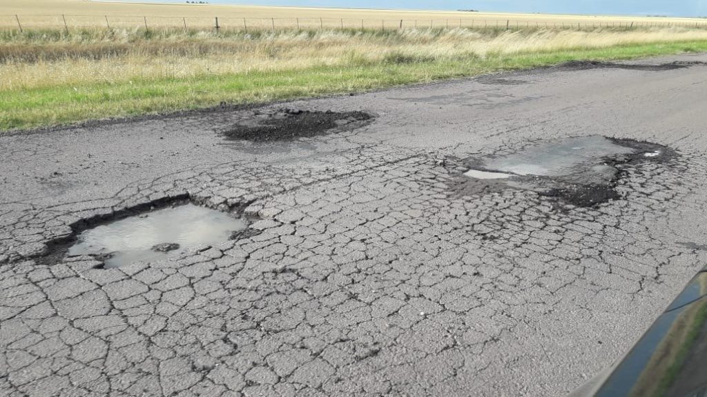 bache