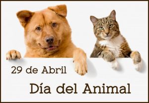 dia-del-animal_999_750