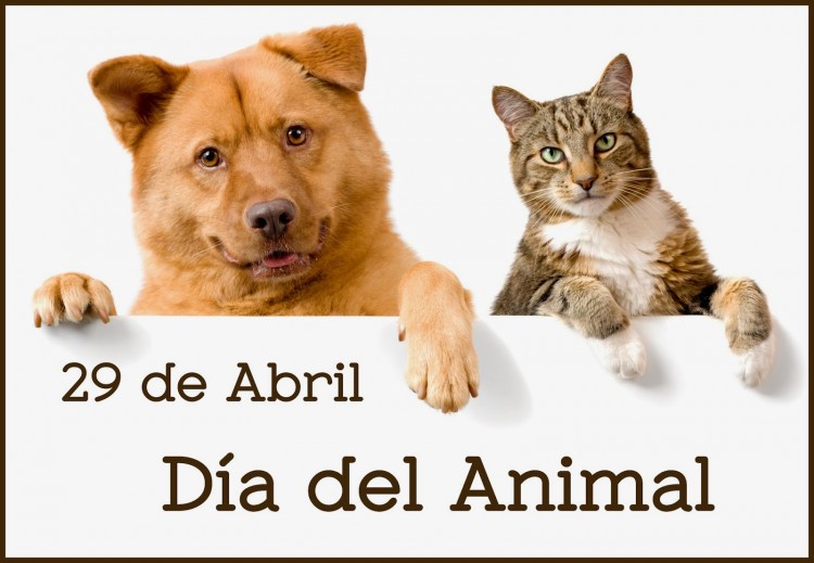 dia-del-animal_999_750