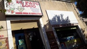 Pato loco