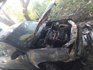 auto 1
