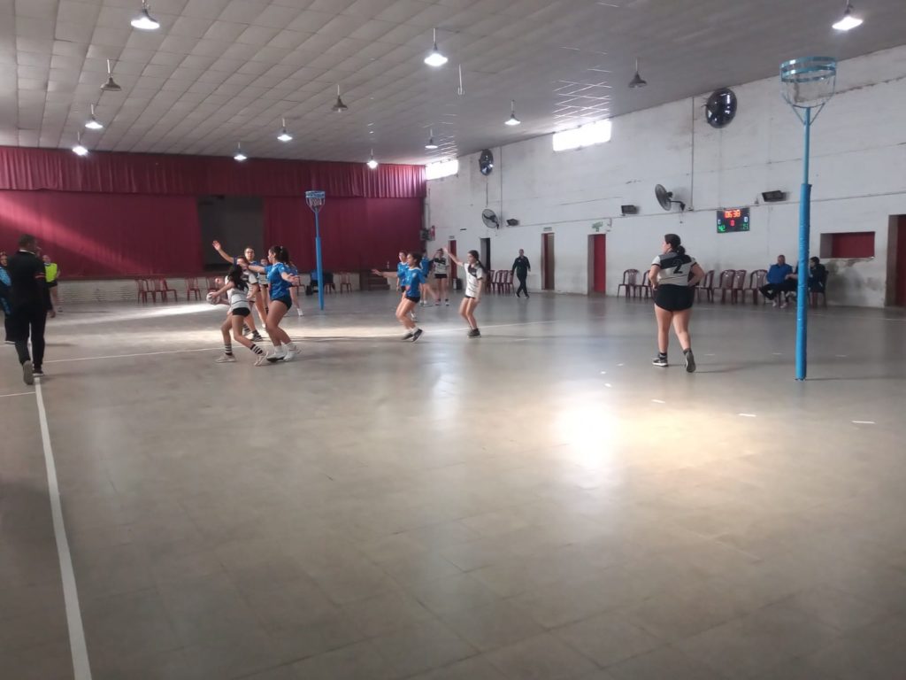 Cesto 3