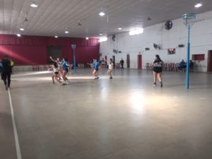 Cesto 3