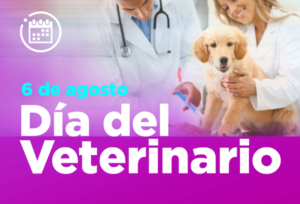 diadelveterinario
