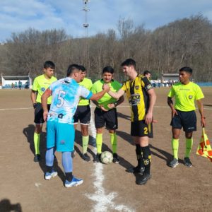 palomeros capitanes