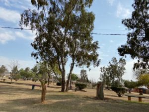 plaza inmigrantes tancacha 3