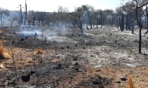 incendio