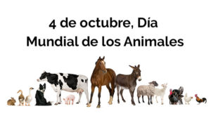 4-de-octubre-dia-mundial-de-los-animales