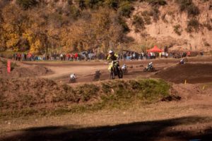 MX 7