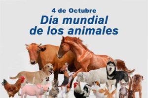 Dia-Mundial-Animales