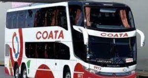 Coata