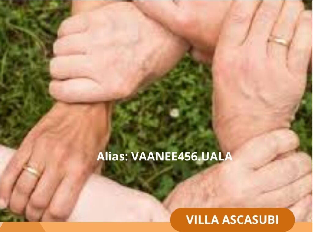 WhatsApp Image 2024-10-11 at 9.45.27 AM - copia