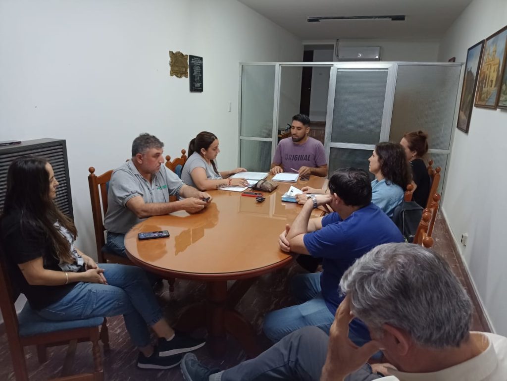 concejo 7