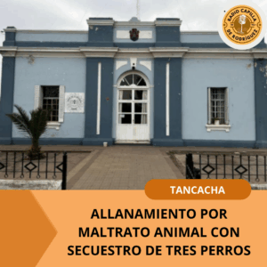 PUBLICACIONES PARA RADIO CAPILLA - 2025-09-15T102431.293